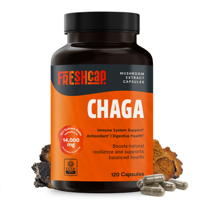 Chaga Mushroom Extract Capsules - Trending Wellness Store