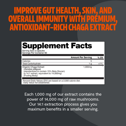 Chaga Mushroom Extract Capsules - Trending Wellness Store