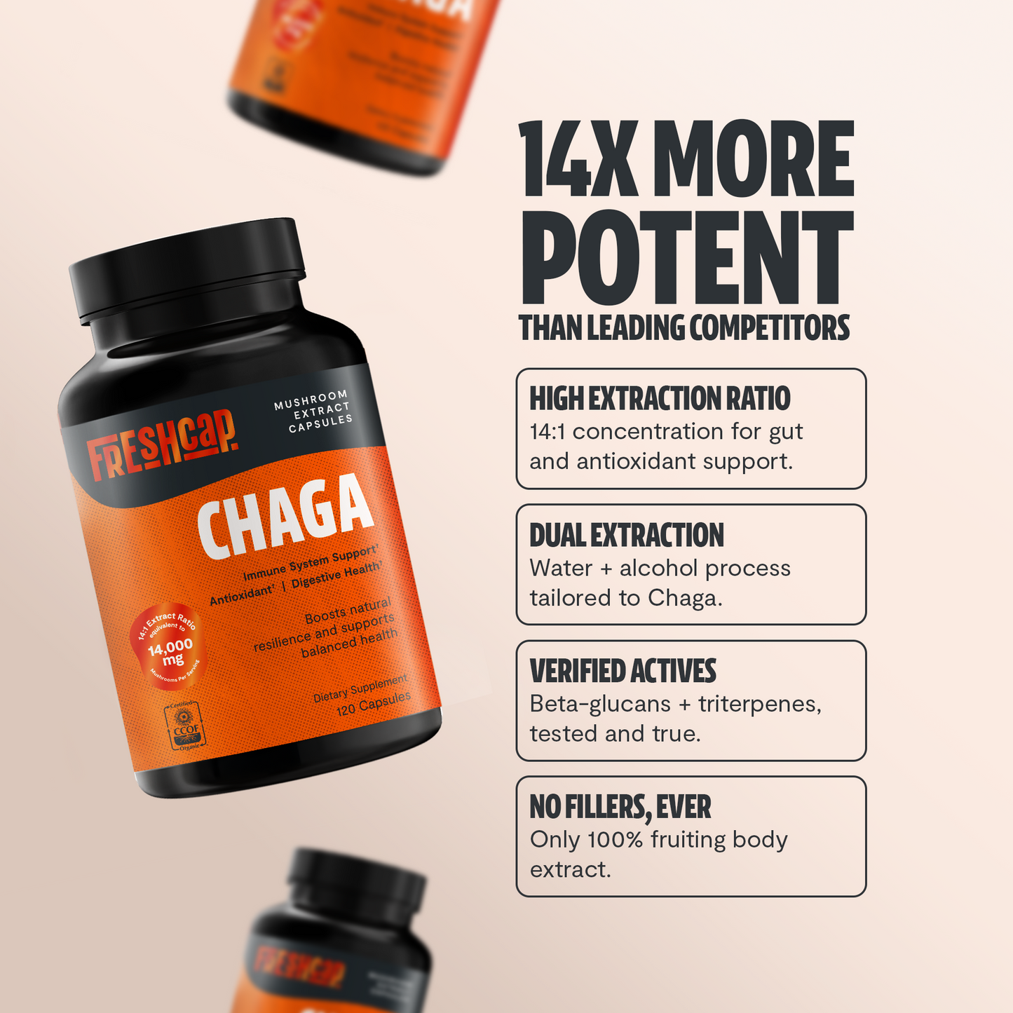 Chaga Mushroom Extract Capsules - Trending Wellness Store