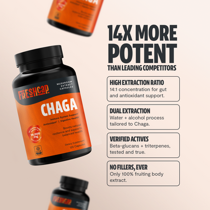 Chaga Mushroom Extract Capsules - Trending Wellness Store