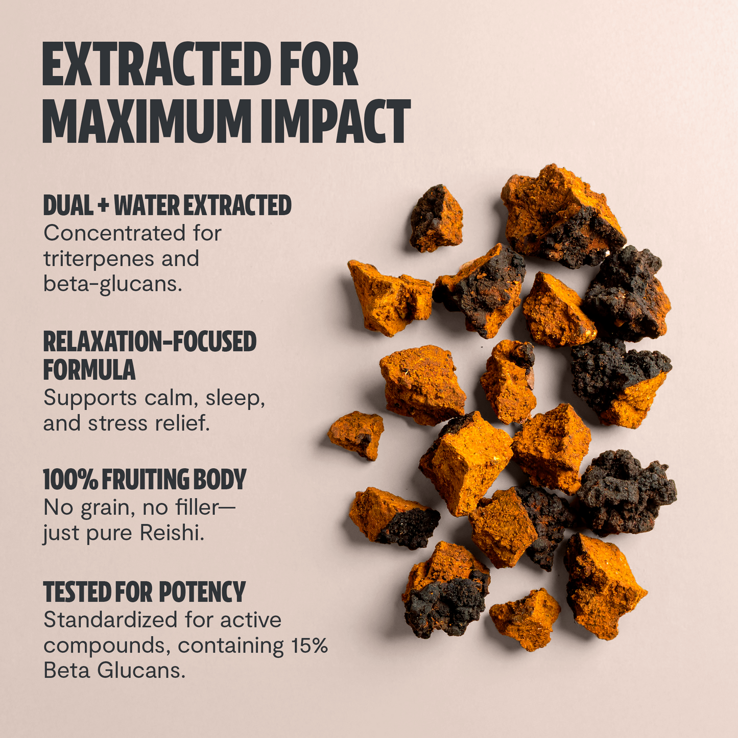 Chaga Mushroom Extract Capsules - Trending Wellness Store