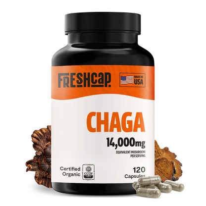 Chaga Mushroom Extract Capsules - Trending Wellness Store