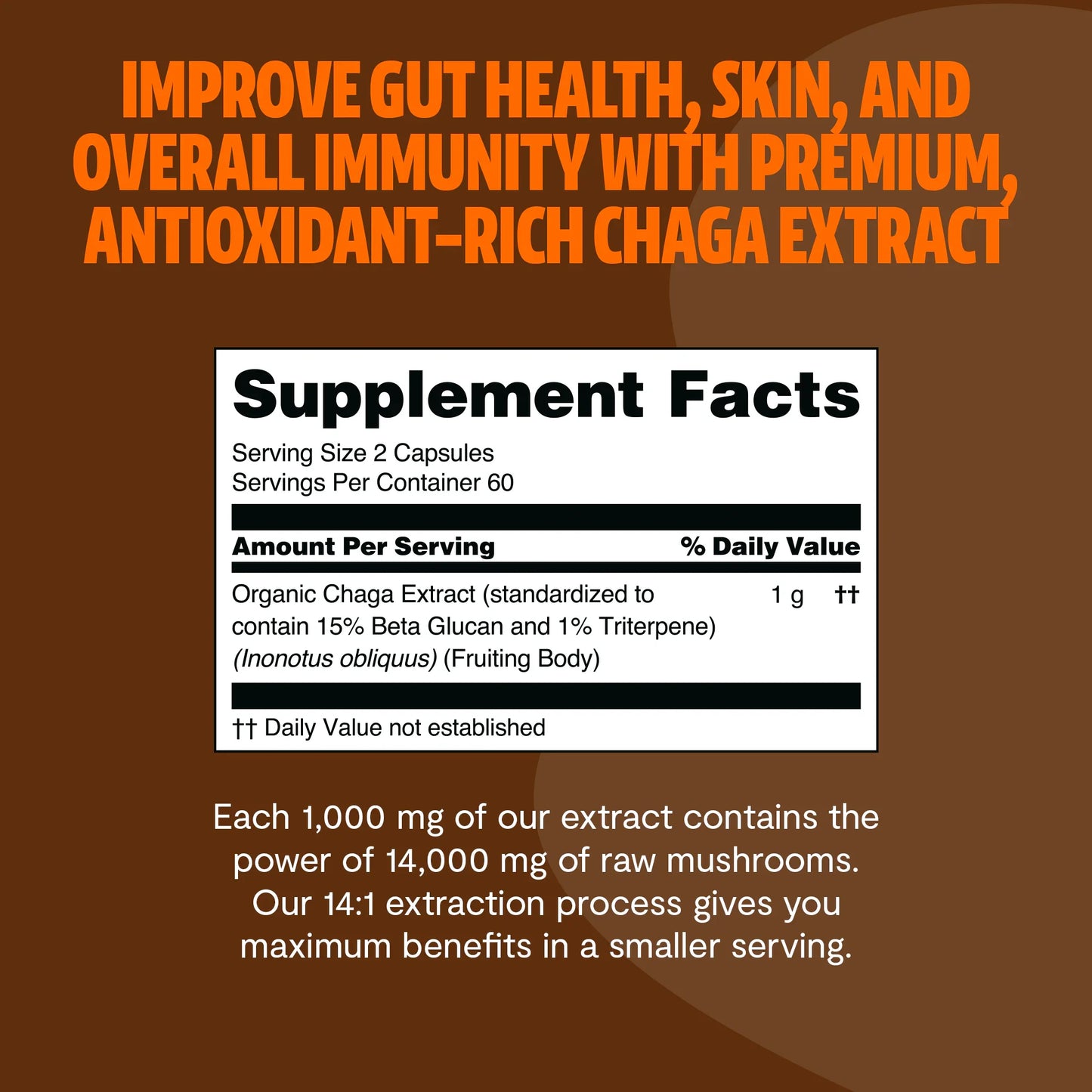 Chaga Mushroom Extract Capsules - Trending Wellness Store