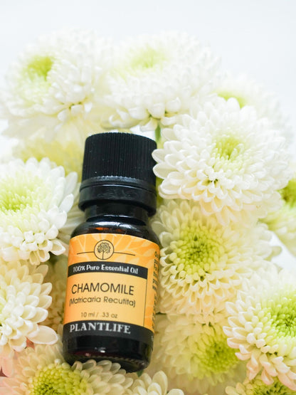 Chamomile Essential Oil - Trending Wellness Store