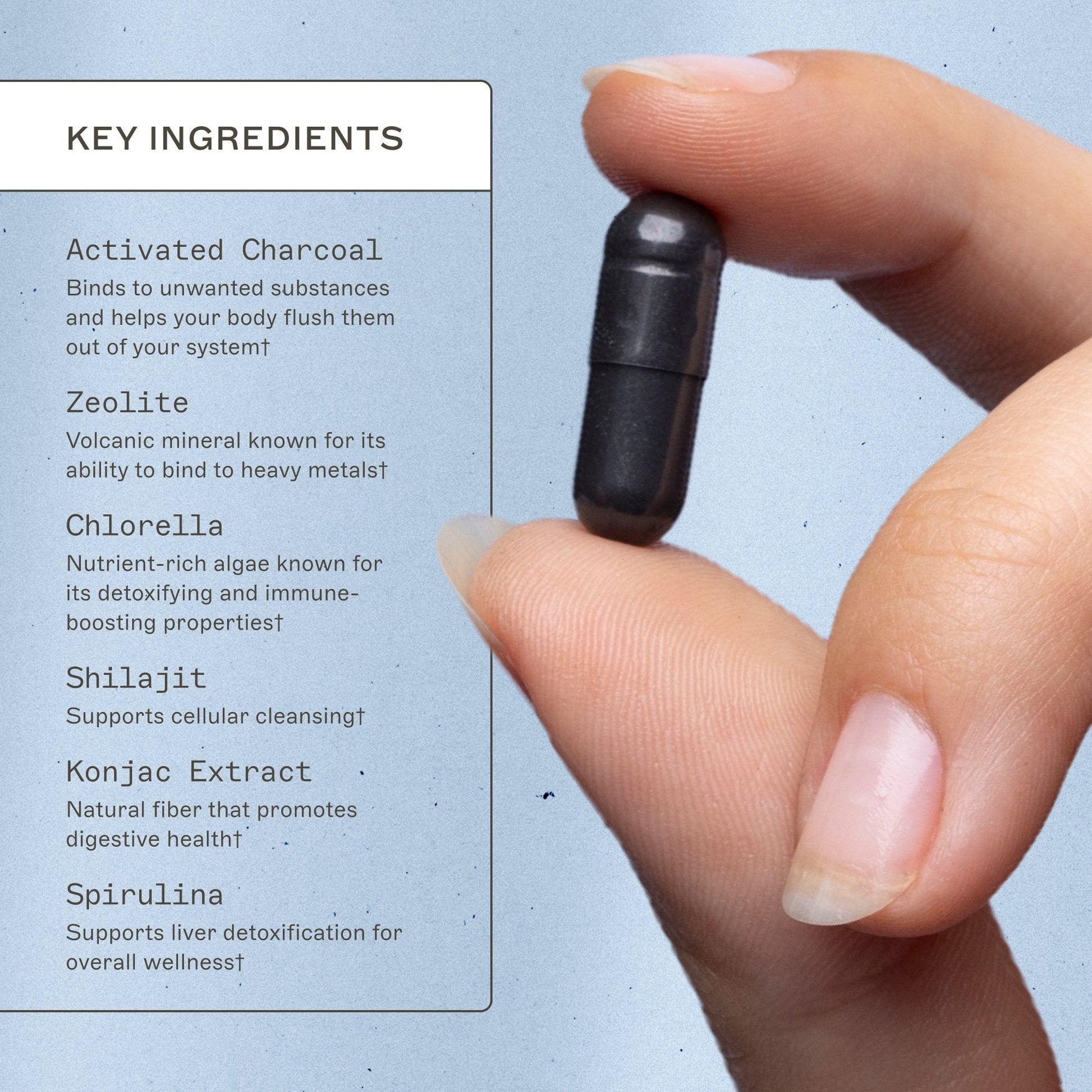 Trending Wellness Store