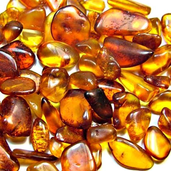 Chocolate Amber - Trending Wellness Store