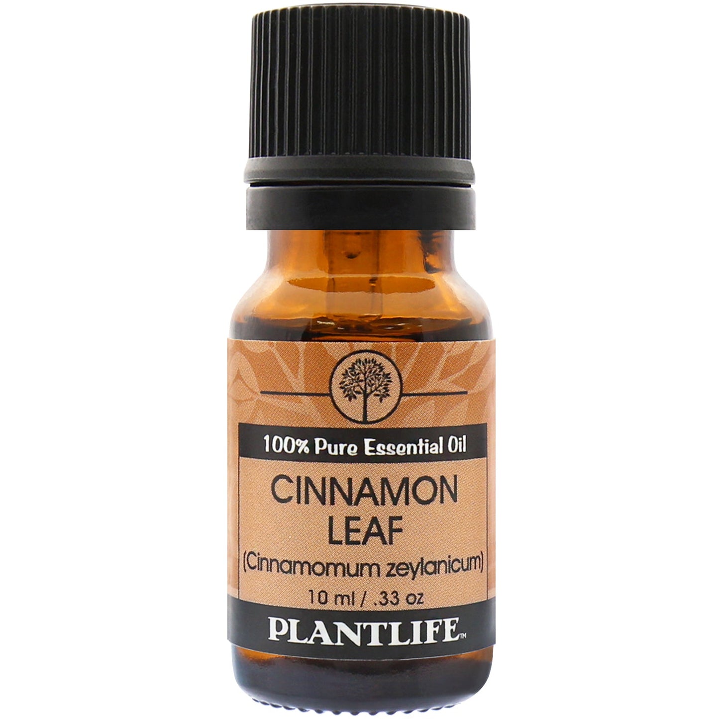 Cinnamon Leaf Essential Oil - Trending Wellness Store