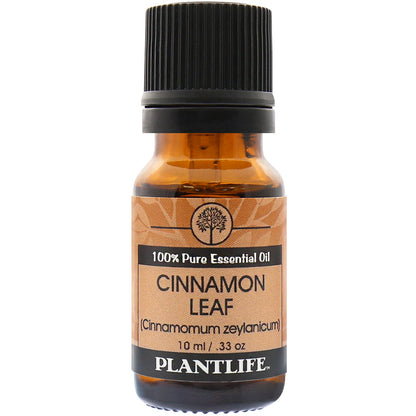 Cinnamon Leaf Essential Oil - Trending Wellness Store