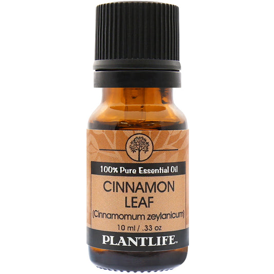 Cinnamon Leaf Essential Oil - Trending Wellness Store