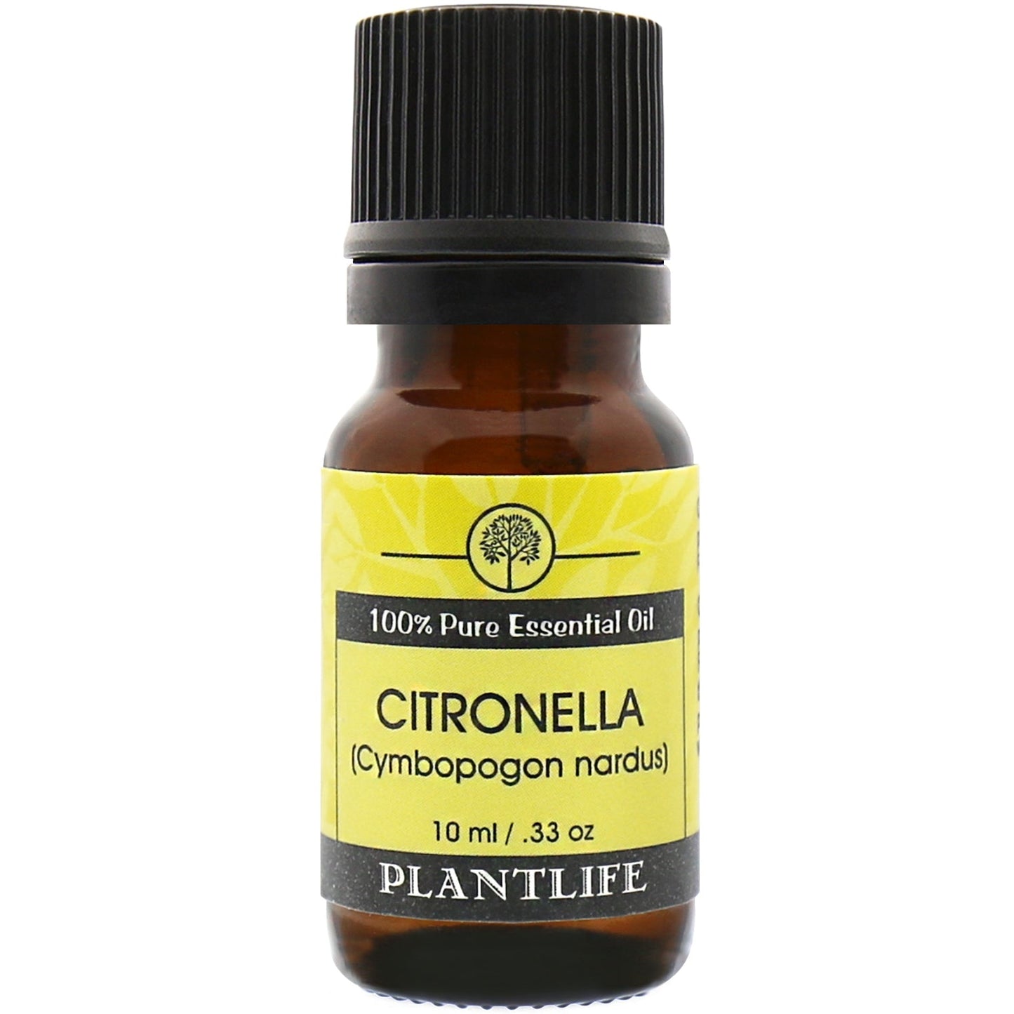 Citronella Essential Oil - Trending Wellness Store
