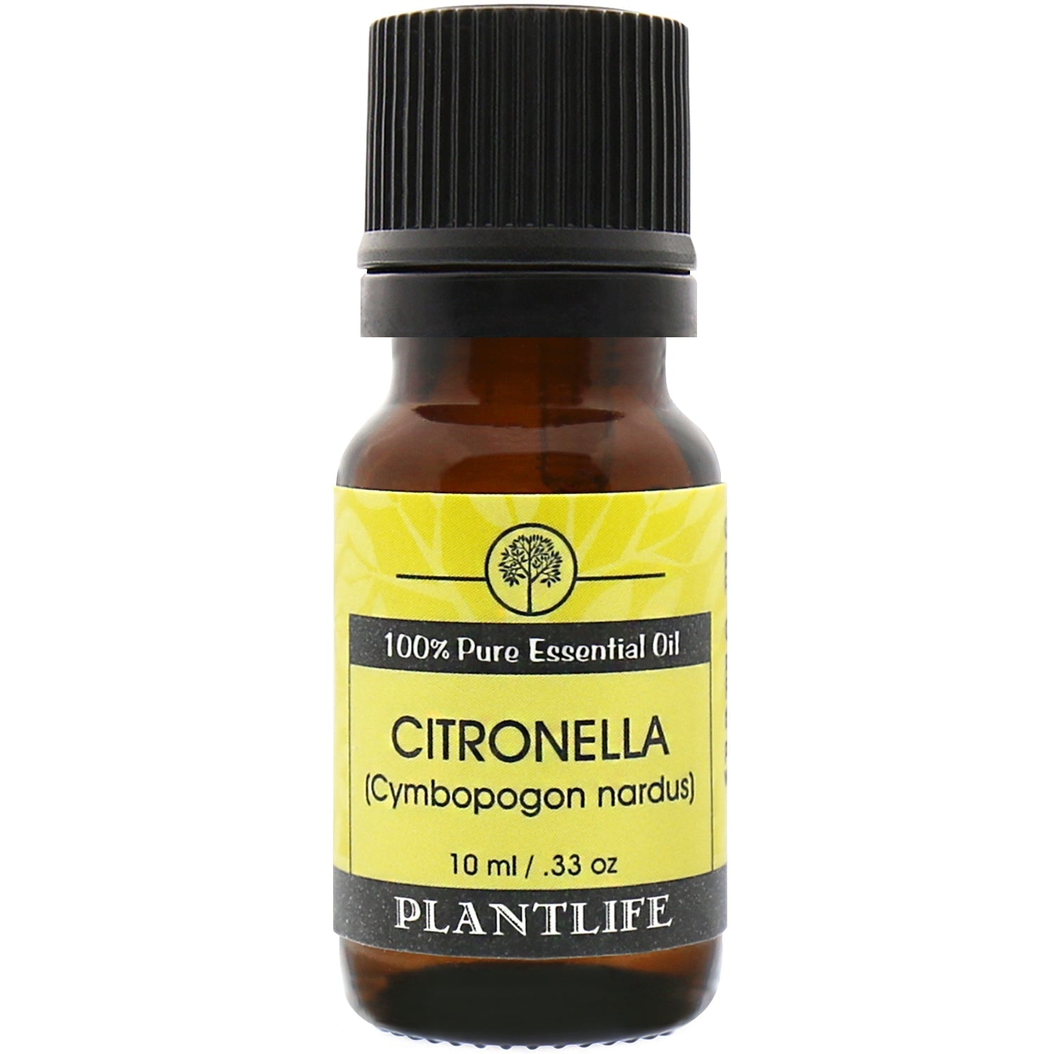 Citronella Essential Oil - Trending Wellness Store