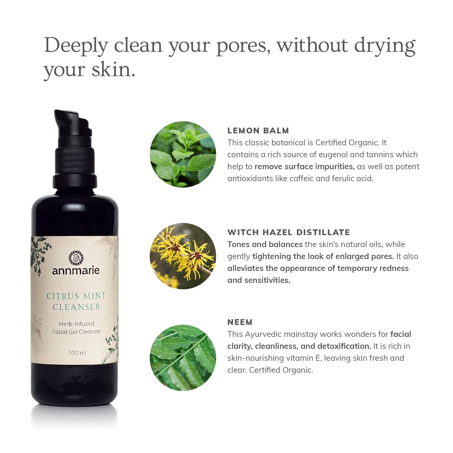 Citrus Mint Cleanser (100ml)- Collective - Trending Wellness Store