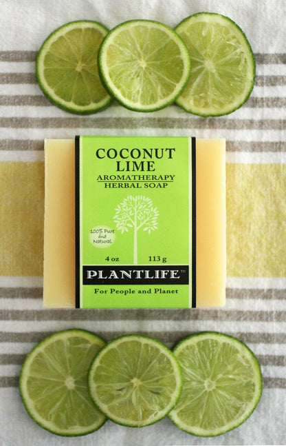 Coconut Lime Bar Soap - Trending Wellness Store