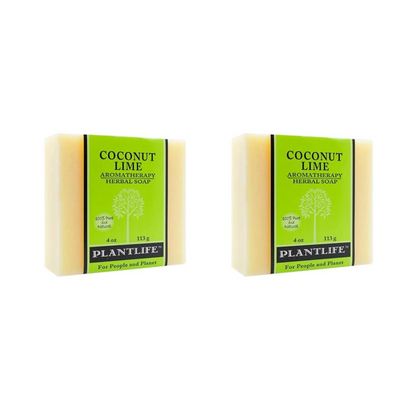 Coconut Lime Bar Soap - Trending Wellness Store