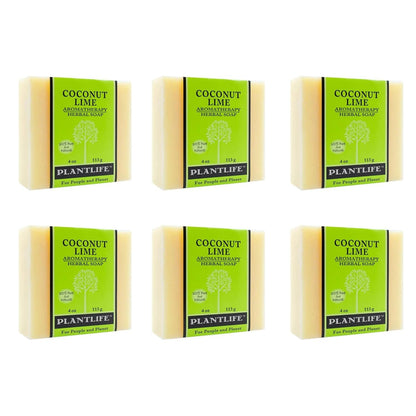 Coconut Lime Bar Soap - Trending Wellness Store