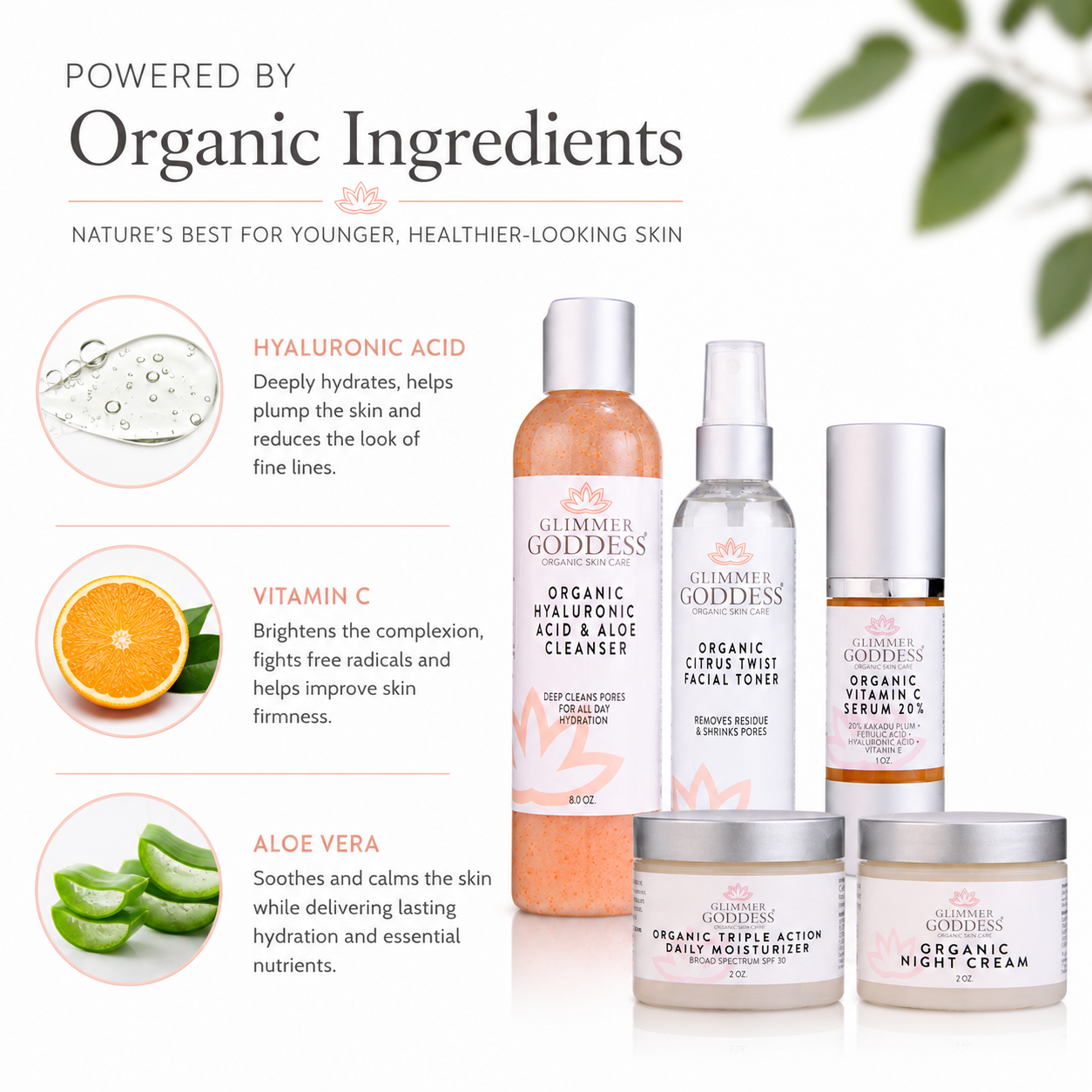 Complete Organic Anti-Wrinkle 5-Step Kit with Vitamin C & SPF 30 - Trending Wellness Store