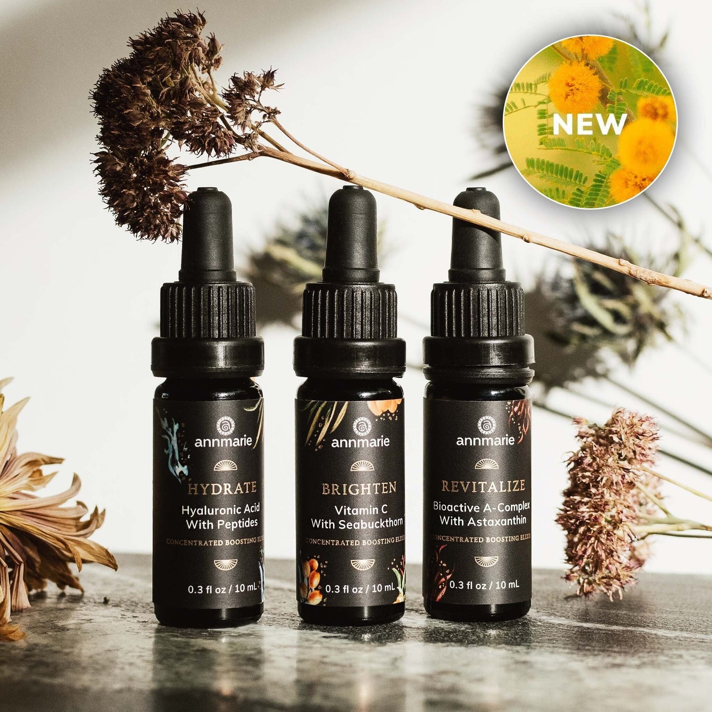 Concentrated Boosting Elixirs (10ml ea)- Collective - Trending Wellness Store