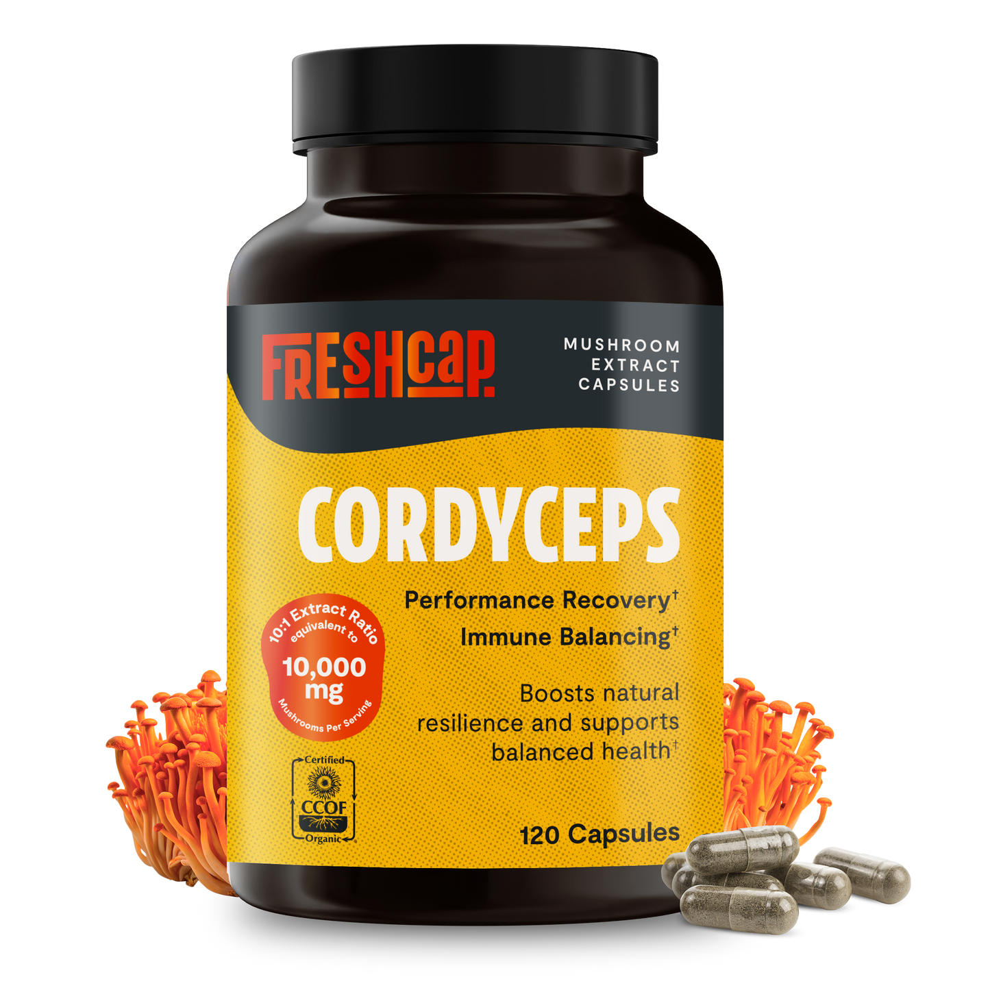 Cordyceps Mushroom Extract Capsules - Trending Wellness Store