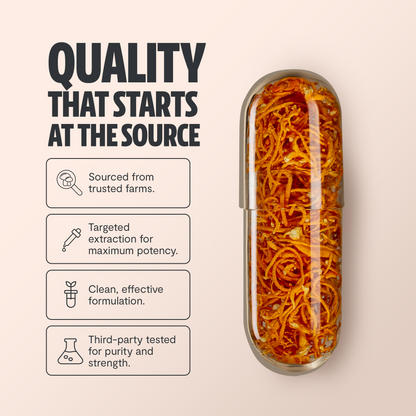 Cordyceps Mushroom Extract Capsules - Trending Wellness Store