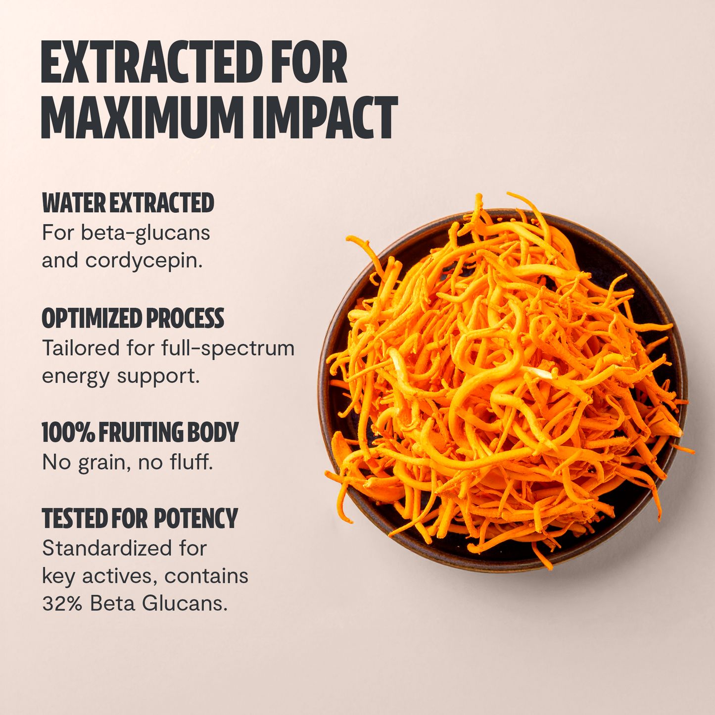 Cordyceps Mushroom Extract Powder - Trending Wellness Store