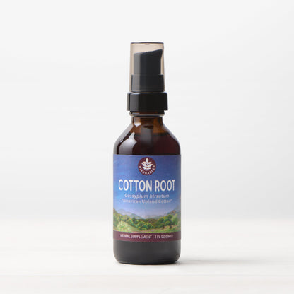 Cotton Root - Trending Wellness Store
