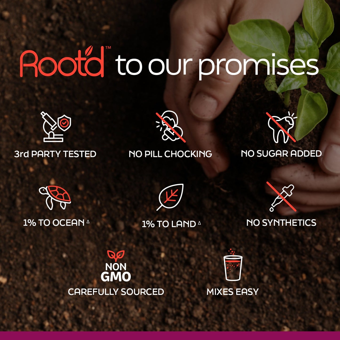 Couples’ Wellness Pack - The Hydrating Multivitamin - For Her & Him - Trending Wellness Store