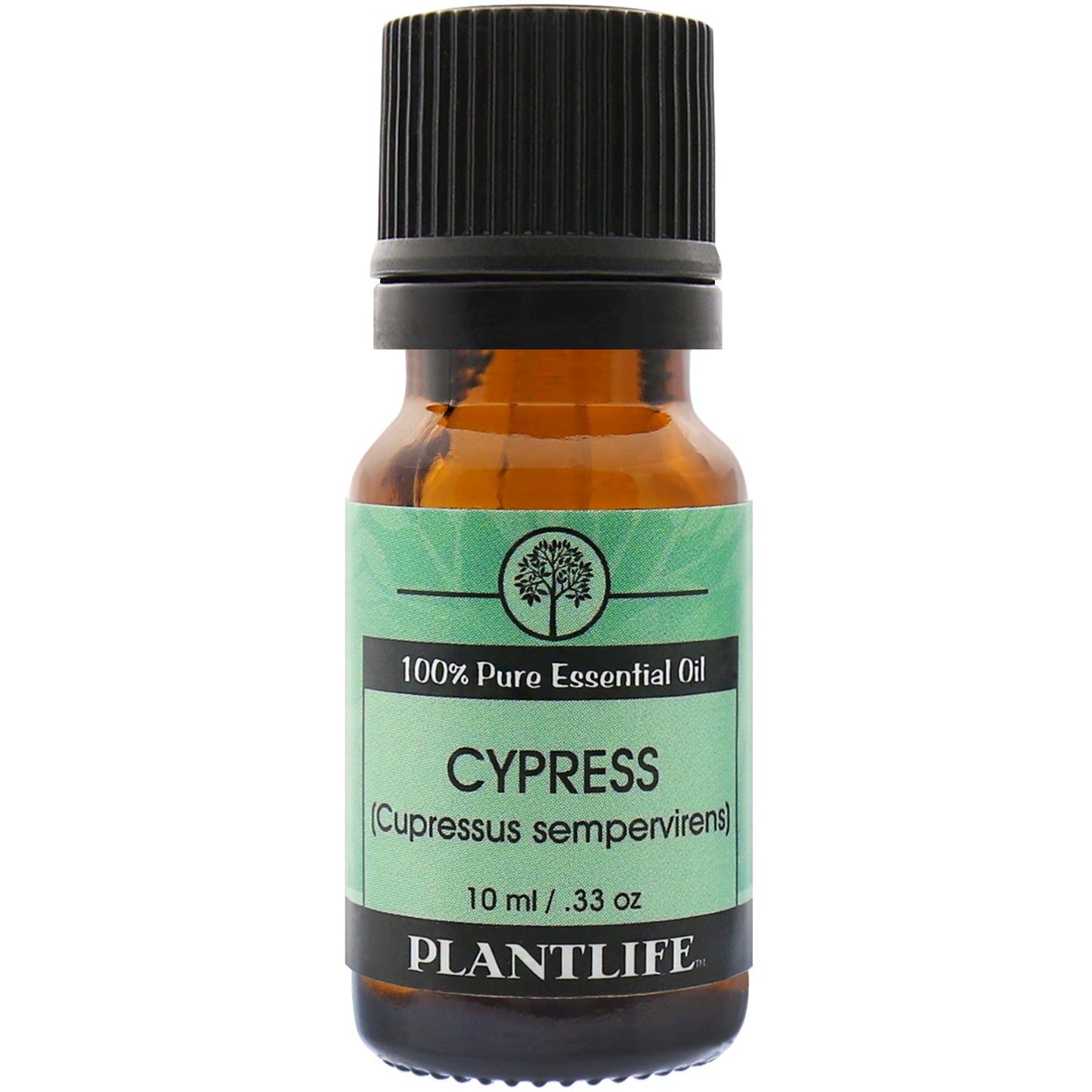 Cypress Essential Oil - Trending Wellness Store