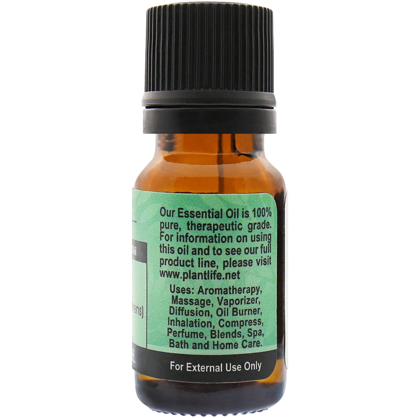 Cypress Essential Oil - Trending Wellness Store