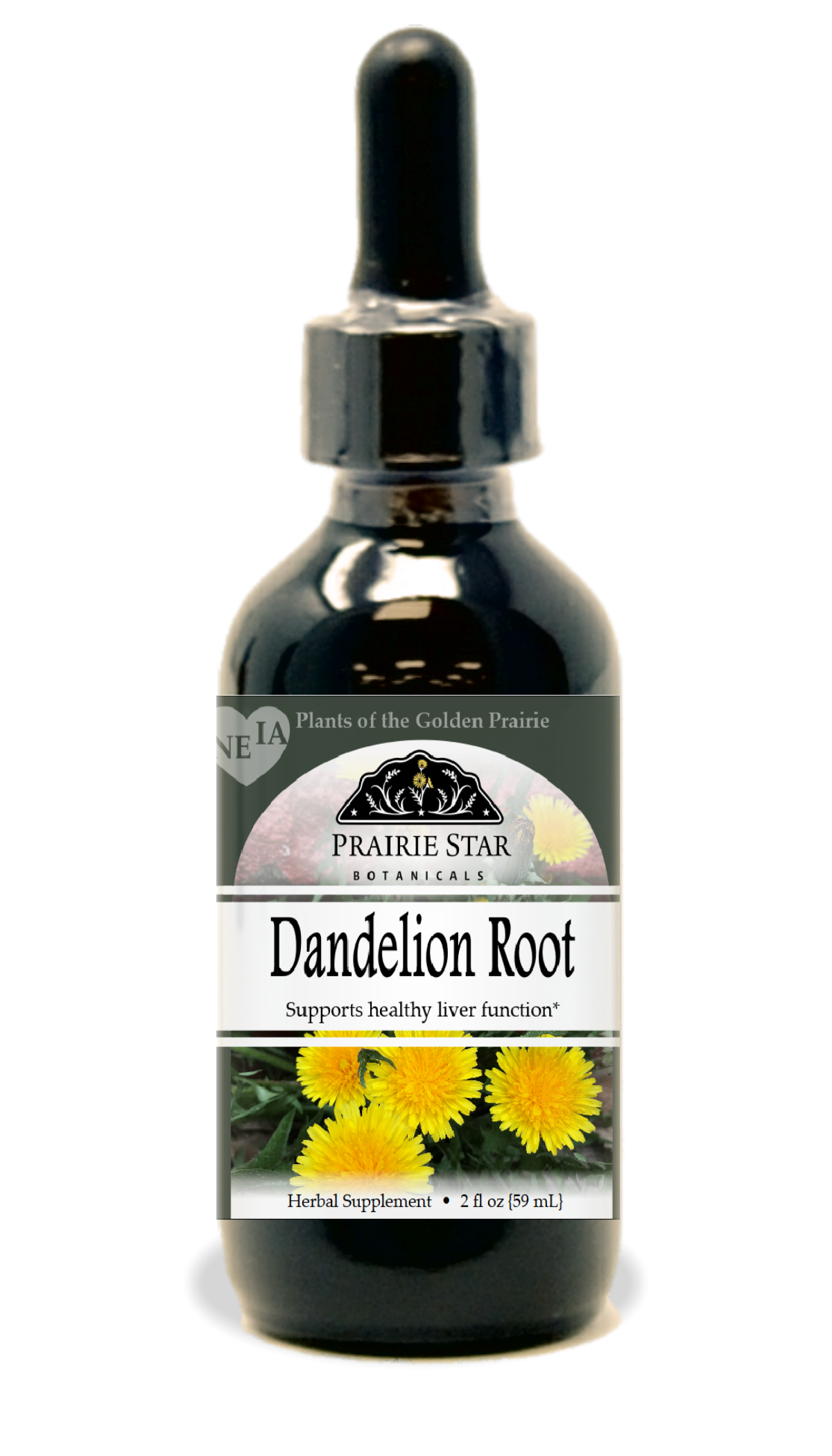 Dandelion