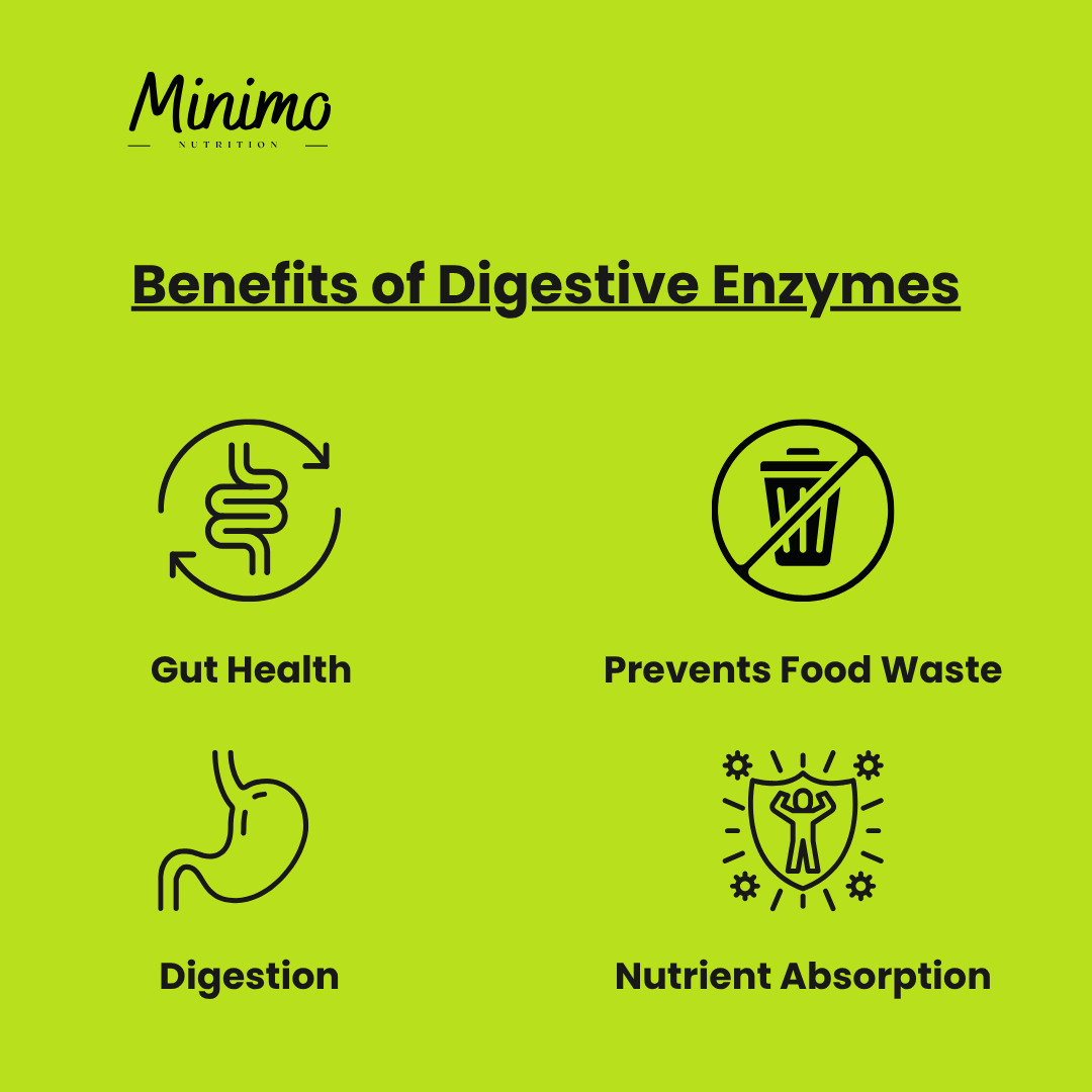 Digestive Enzyme Pro Blend, 60 ct. - Trending Wellness Store