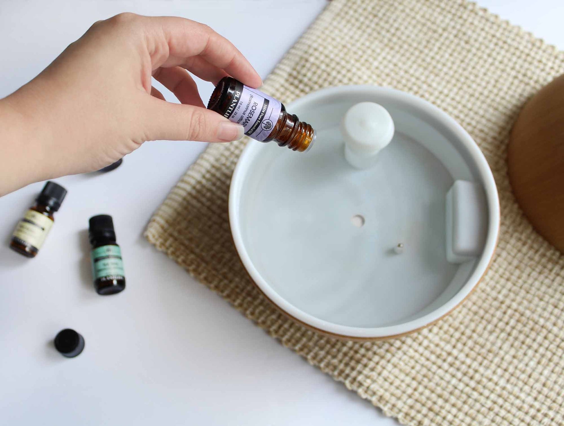 Dome Diffuser - Trending Wellness Store