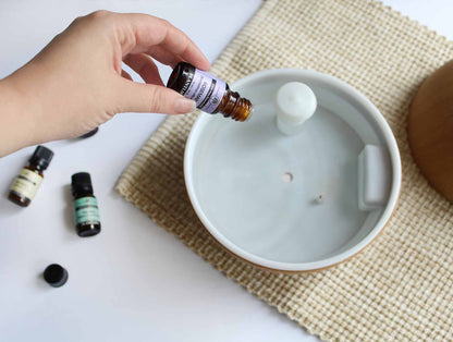 Dome Diffuser - Trending Wellness Store