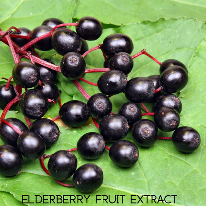 Emergency Immune Support - Trending Wellness Store