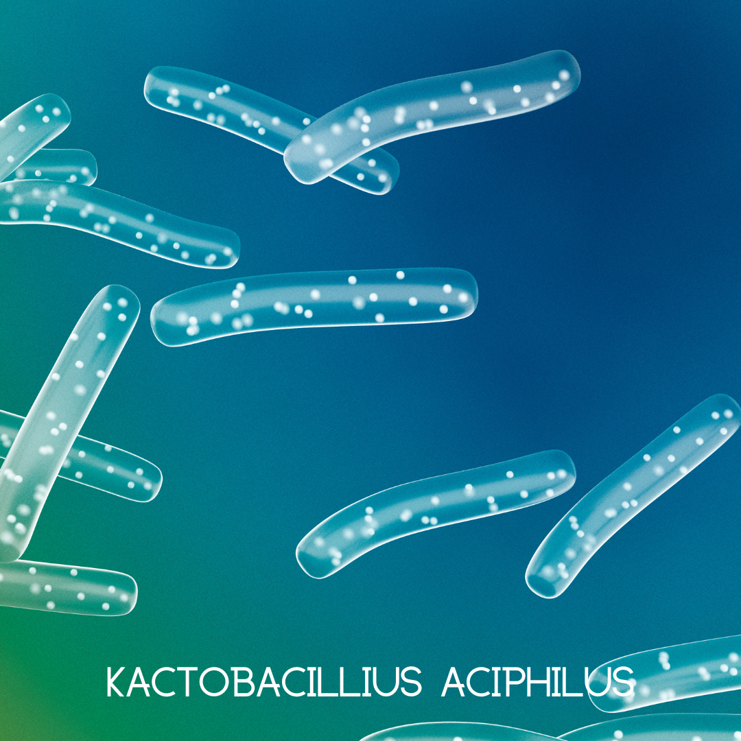 Trending Wellness Store