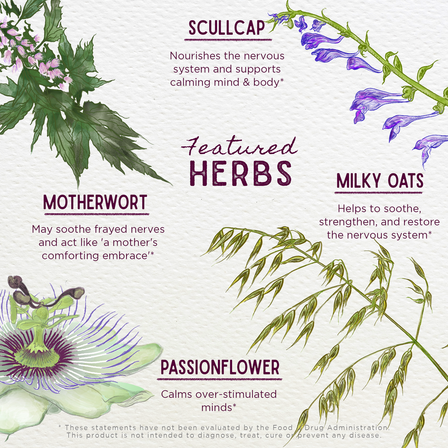 Emotional Ally: A Big Herbal Hug - Trending Wellness Store