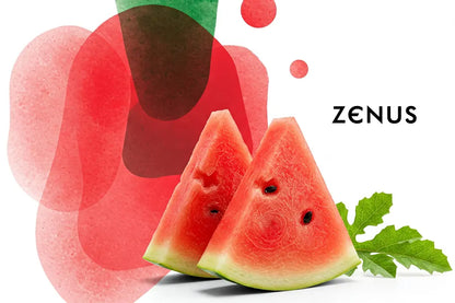 Energy Supplement - Trending Wellness Store