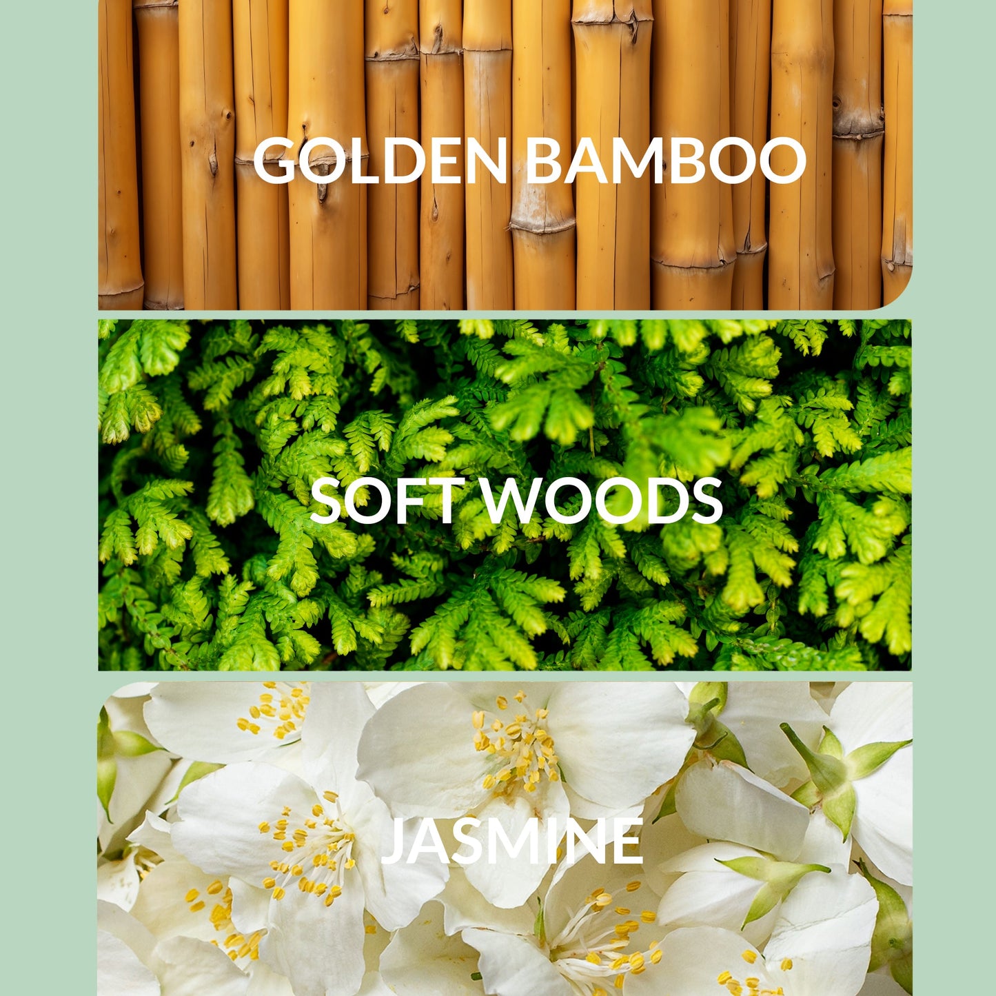 Eternal Sunshine - Trending Wellness Store