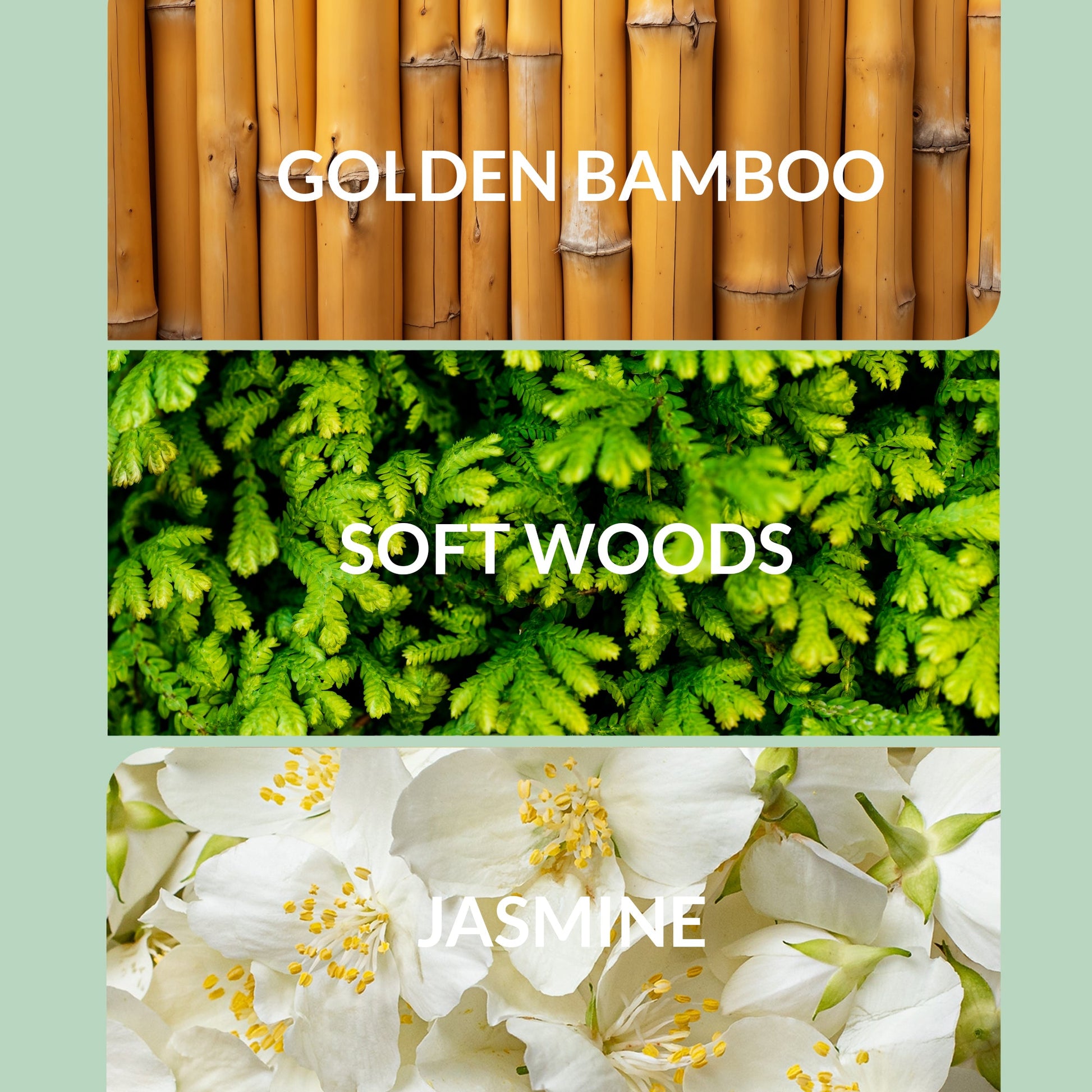 Trending Wellness Store