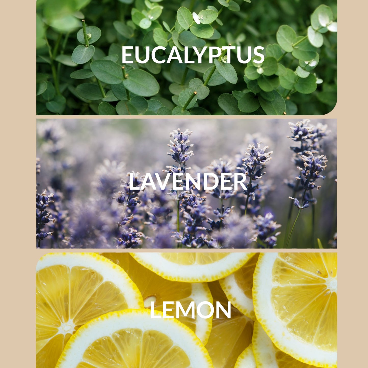 Exhale - Trending Wellness Store