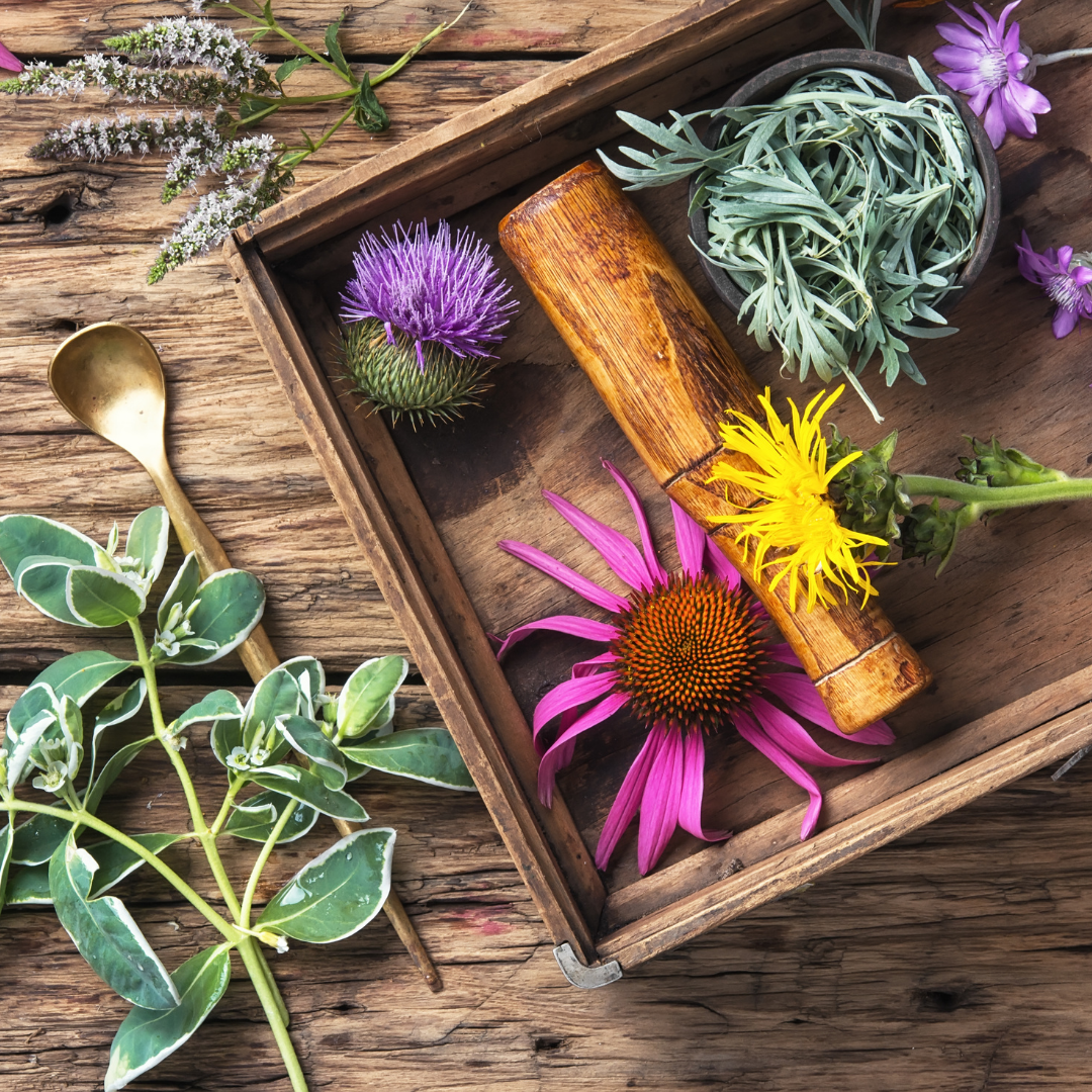 Garden Witch - Trending Wellness Store