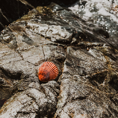 Geranium & Vetiver Perfume