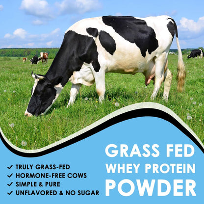 Grass-Fed Whey Isolate Protein Powder, 26g Protein/Serving, 1.1 LB - Trending Wellness Store
