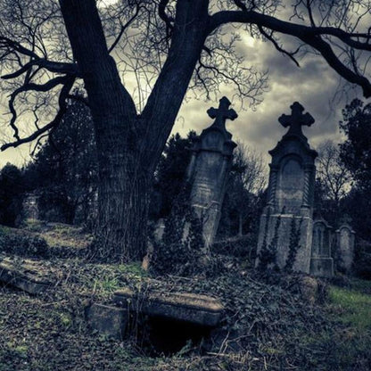 Graveyard Dirt - Trending Wellness Store