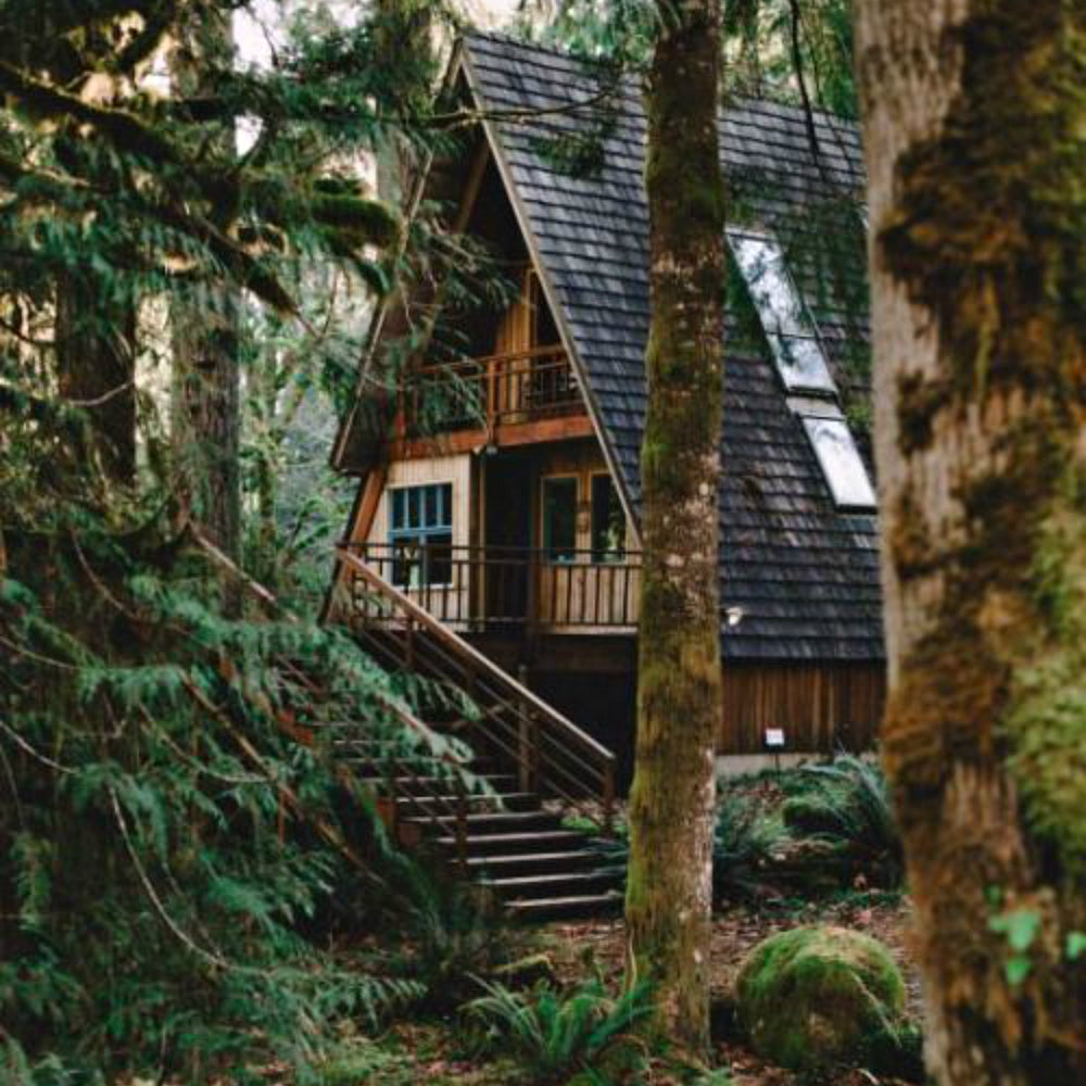 Great Outdoors - Trending Wellness Store