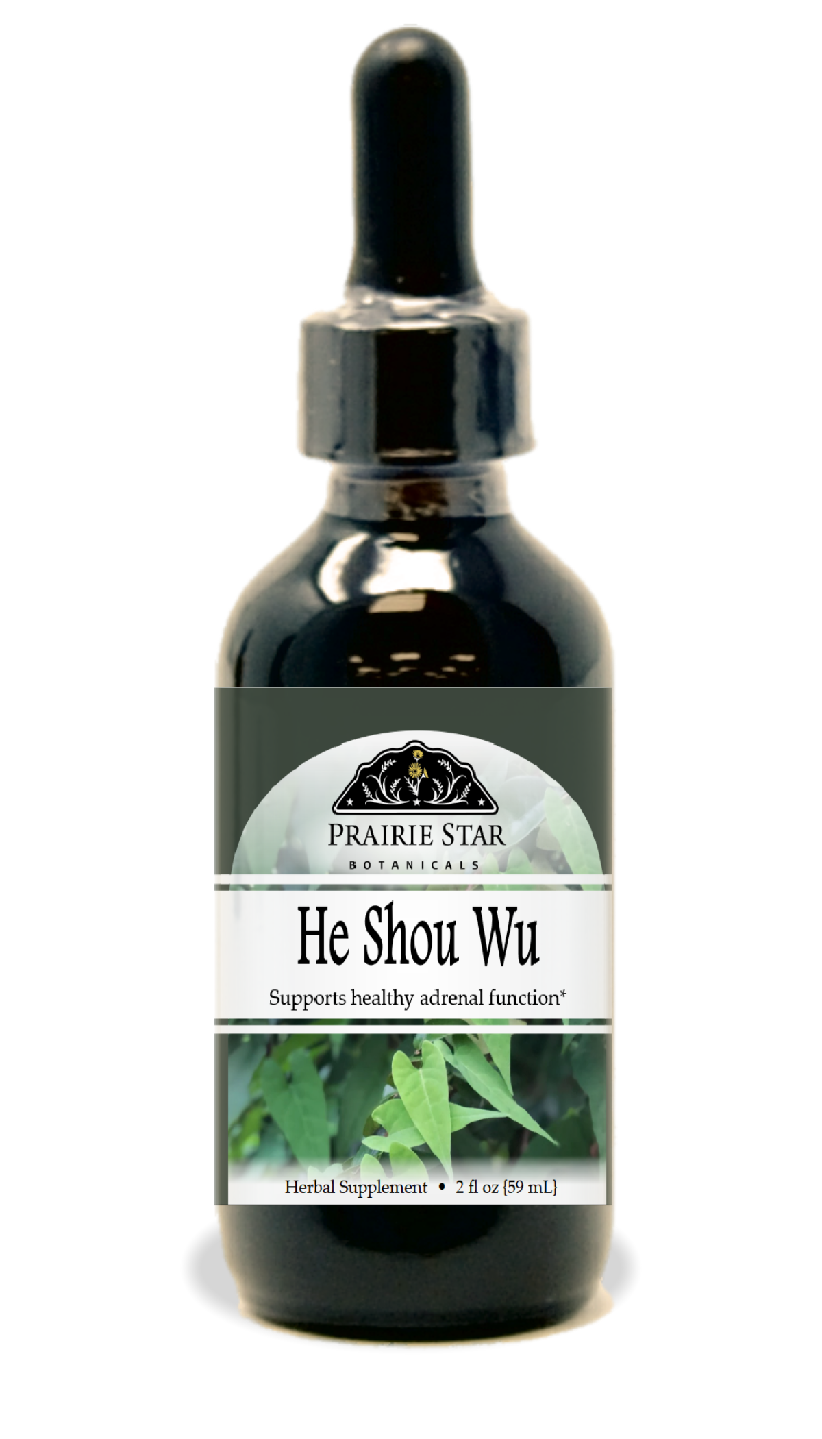 Trending Wellness Store