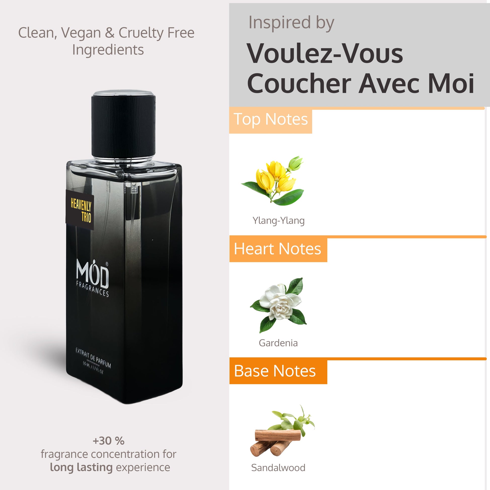 Trending Wellness Store