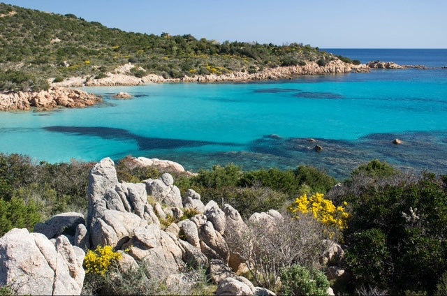 Trending Wellness Store