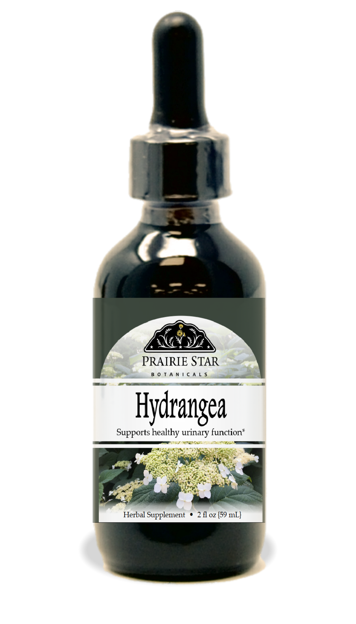 Trending Wellness Store