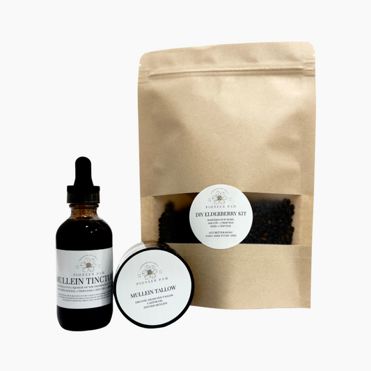 Immunity Combo: Immune System & Respiratory Support- Mullein Tincture + Elderberry Kit + Mullein Tallow - Trending Wellness Store