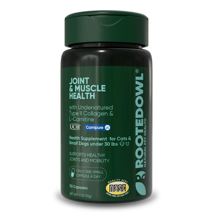 Joint & Muscle Health - Trending Wellness Store